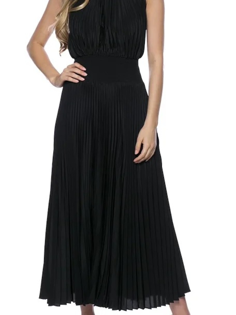 Paper Crown Sz 4 Pleated Black Sleeveless Halter fitted waist Maxi Dress